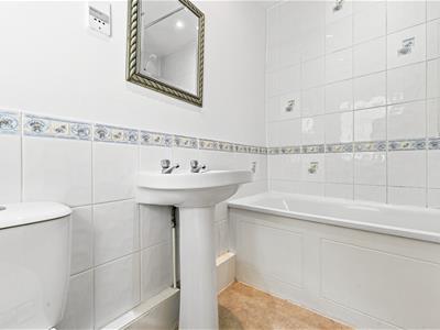 Picture 14